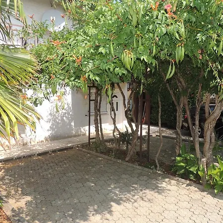 Апартаменты Dragica *