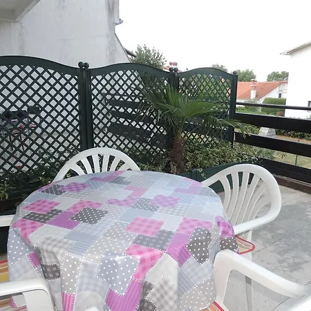 Dragica * Малинска